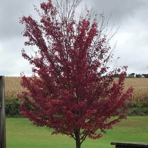 Meet your Posher, Leanne